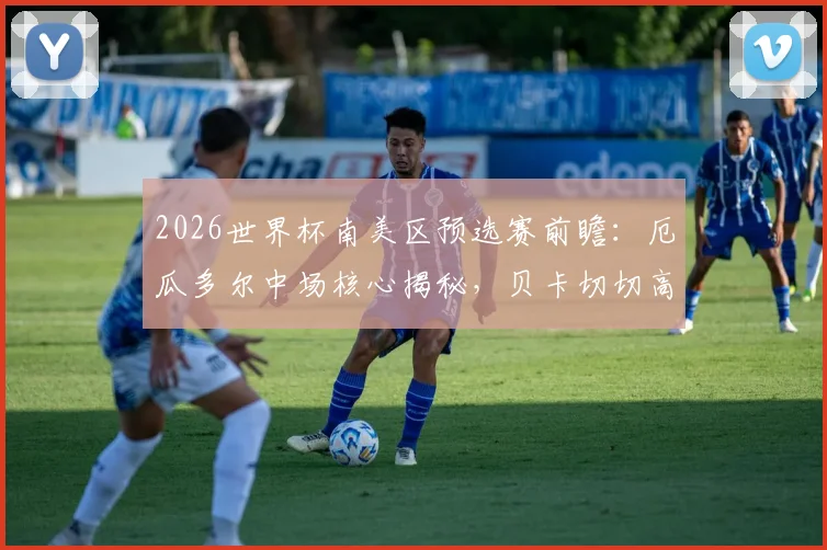 2026世界杯南美区预选赛前瞻：厄瓜多尔中场核心揭秘，贝卡切切高要求下的球队夺冠前景